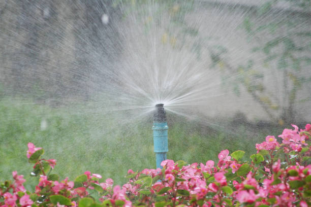 istock Watering the flower garden 1091067306
