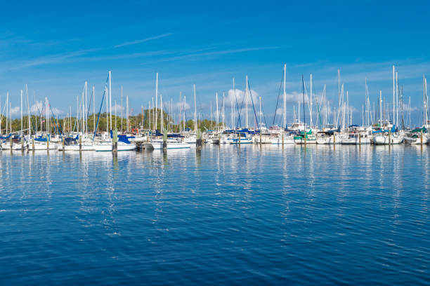 istock St. Petersburg, Florida Harbor 1091077776