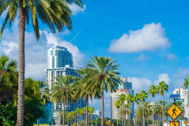 istock Palm Trees in St. Petersburg 1091077850