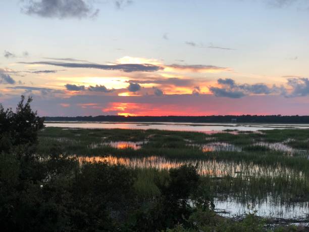 istock Sunset in the Marshlands Over The Marshland 1091100778