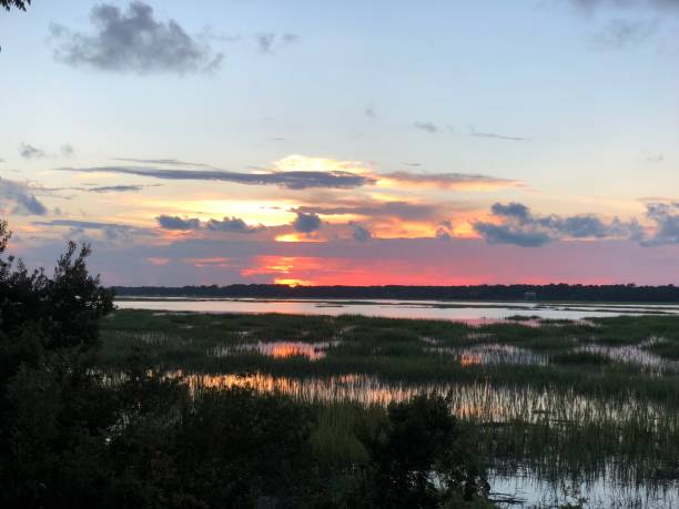 istock Sunset in the Marshlands Over The Marshland 1091100780