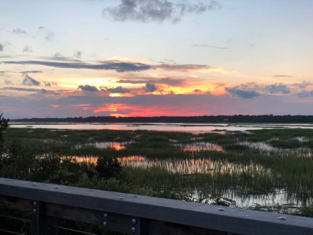 istock Sunset in the Marshlands Over The Marshland 1091100886