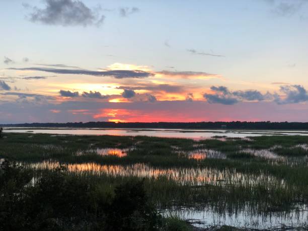 istock Sunset in the Marshlands Over The Marshland 1091100924