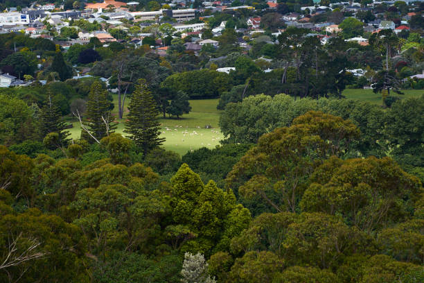 istock Rural Park and Urban Housing meet 1091110876