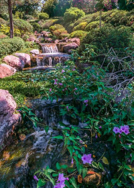 istock Beautiful green garden 1091117640
