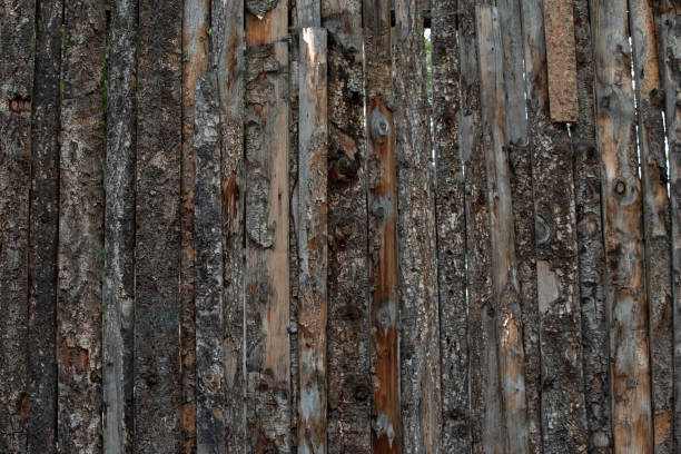 istock Pinewood Fence 1091128038