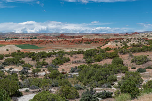istock Bighorn Canyon National Recreation Area 1091128604