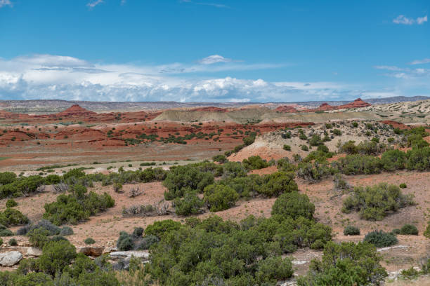 istock Bighorn Canyon National Recreation Area 1091128606