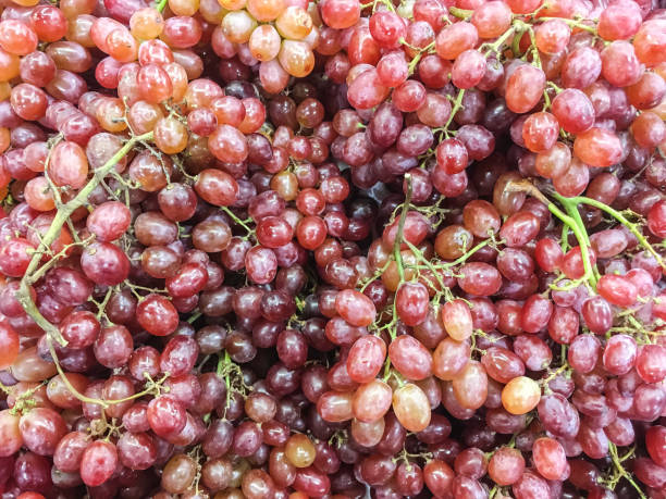 istock Closeup pile of red grape on tray textured background 1091142562