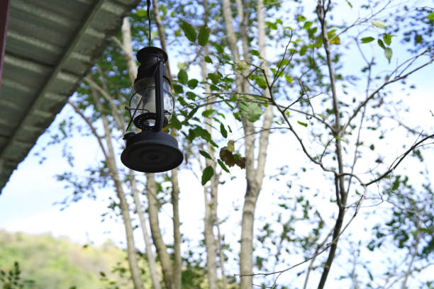 istock electric lantern in the garden 1091162172