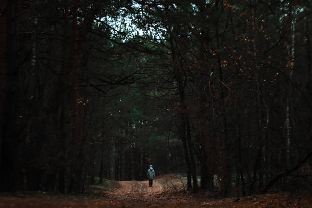 istock man walking on a path in a strange dark forest with fog 1091170046