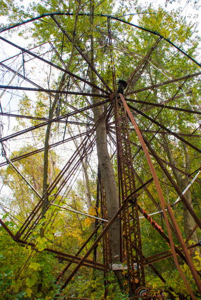 Rusted Abandoned Ferris Wheel With a Tree Growing up the Middle of it