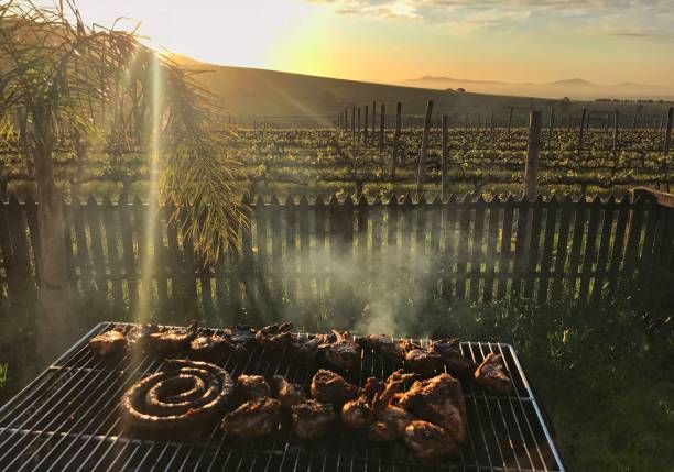 BBQ Sunset Late afternoon BBQ prior to sunset with a vineyard view in Western Cape, South Africa. south african braai stock pictures, royalty-free photos & images