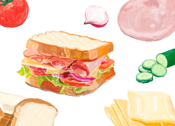 ilustraciones, imágenes clip art, dibujos animados e iconos de stock de estilo acuarela sandwich dibujado a mano - sandwich ham white background lunch