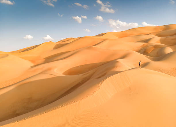 aeril view of a person in liwa desert, part of empty quarter, the largest continuous sand desert in the world - liwa desert imagens e fotografias de stock