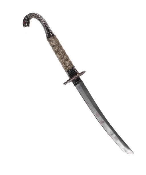 istock sword with a snake,Fantasy  sword 1091189454