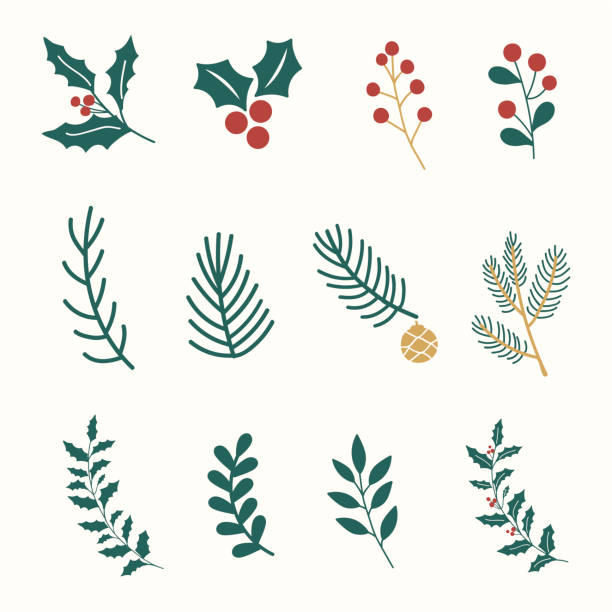 ilustraciones, imágenes clip art, dibujos animados e iconos de stock de conjunto de ilustración de adornos navideños - christmas branch pine tree evergreen tree