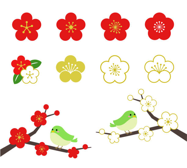 Plum and small bird icon Plum and small bird icon plum blossom stock illustrations