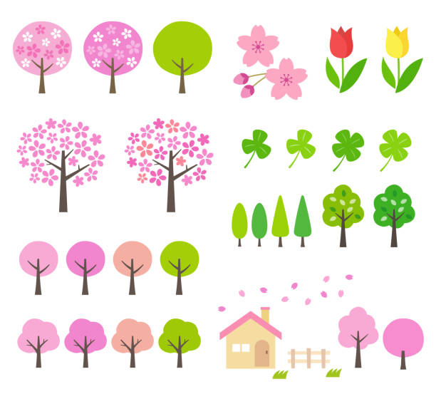 ilustraciones, imágenes clip art, dibujos animados e iconos de stock de ilustración de paisaje de primavera - cherry blossom blossom cherry tree sakura