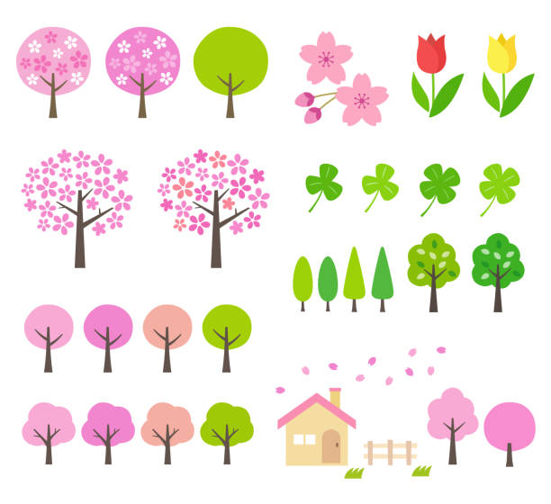 봄 풍경 그림 - tree spring blossom mountain stock illustrations