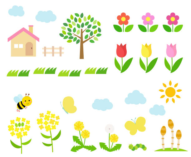 illustrations, cliparts, dessins animés et icônes de ensemble d’illustration paysage printemps - dandelion flower yellow vector