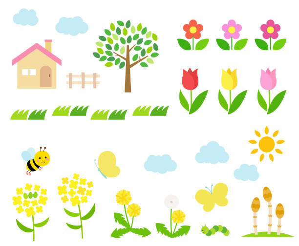 wiosenny zestaw ilustracji krajobrazowych - dandelion flower yellow vector stock illustrations