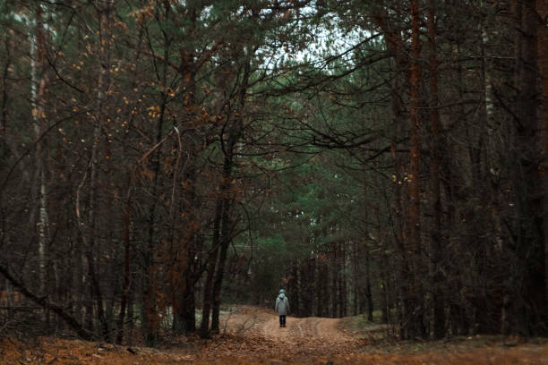 istock man walking on a path in a strange dark forest with fog 1091202094