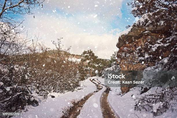 Hintergrundwald Sonnigen Wintertag Stockfoto und mehr Bilder von Abenddämmerung - Abenddämmerung, Bauernhaus, Baum