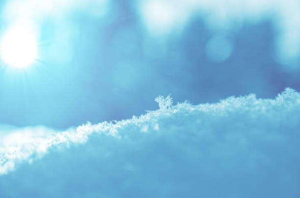 Beautiful scene for New Year or Christmas greeting card.