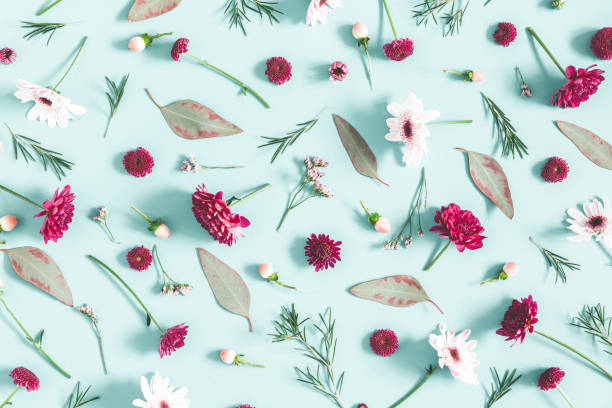 istock Flowers composition. Eucalyptus leaves and pink flowers on pastel blue background. Flat lay, top view 1091209714
