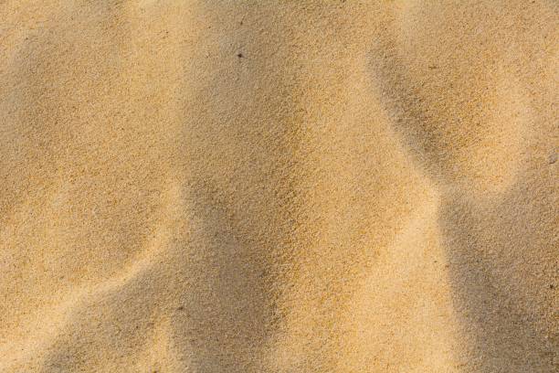 istock Fine beach sand in the summer sun 1091233656