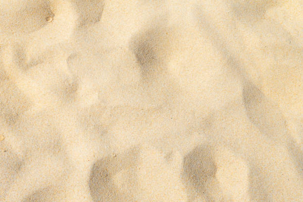 istock Fine beach sand in the summer sun 1091233934