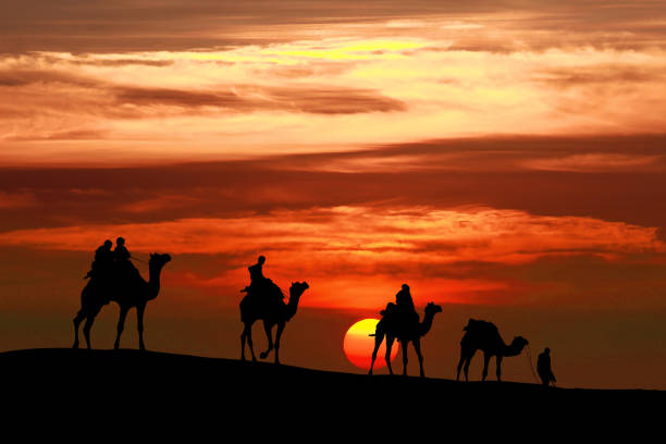 istock caravan Walking with camel through Thar Desert in India, Show silhouette and dramatic sky 1091246722