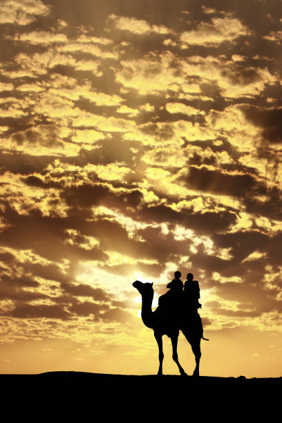 istock Walking with camel through Thar Desert in India, Show silhouette and dramatic sky 1091246726