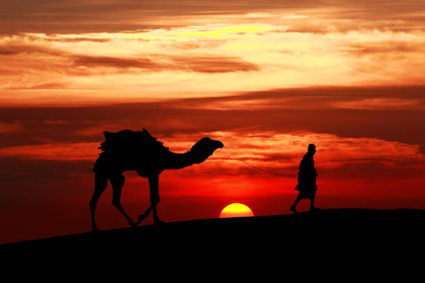istock Walking with camel through Thar Desert in India, Show silhouette and dramatic sky 1091246730