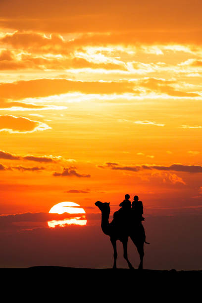 Walking with camel through Thar Desert in India, Show silhouette and dramatic sky stock photo