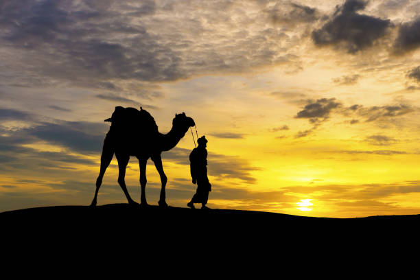 istock Walking with camel through Thar Desert in India, Show silhouette and dramatic sky 1091246742