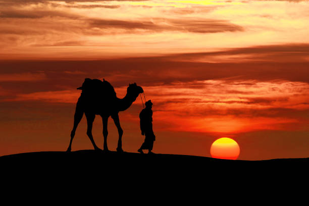 istock Walking with camel through Thar Desert in India, Show silhouette and dramatic sky 1091246752