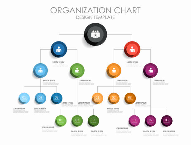 infografik-design-vorlage mit platz für ihre daten. vektor-illustration. - hierarchie stock-grafiken, -clipart, -cartoons und -symbole