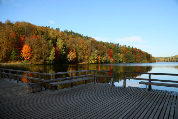 istock Colored trees with lake in autumn 1091250444