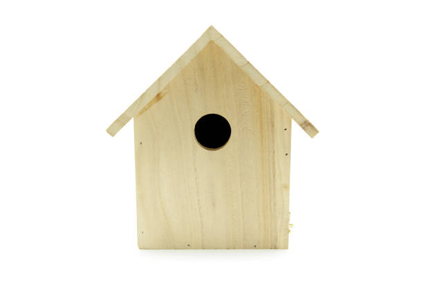pole lęgowe ptaków. białe izolowane tło - birdhouse birds nest box isolated zdjęcia i obrazy z banku zdjęć