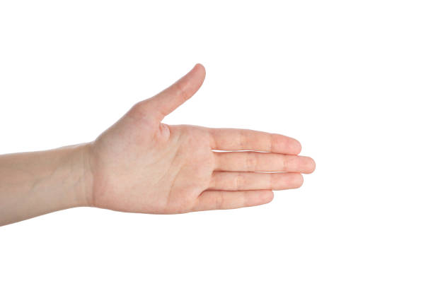 istock Woman hand show direction gesture, open hand isokated on a white background 1091252326