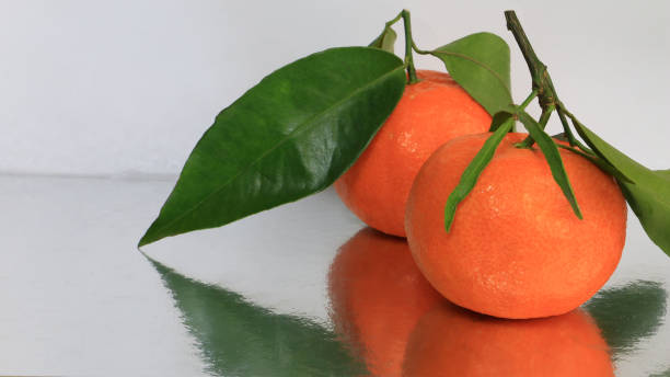 istock Tangerines and mandarins 1091253678