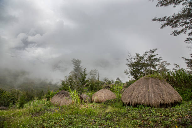 traditional houses in Baliem Valley traditional houses in Baliem Valley, West Papua, Indonesia dani stock pictures, royalty-free photos & images