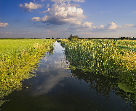 Beautiful and peaceful channel with fertile fields on both sides. You can see clear blue water.