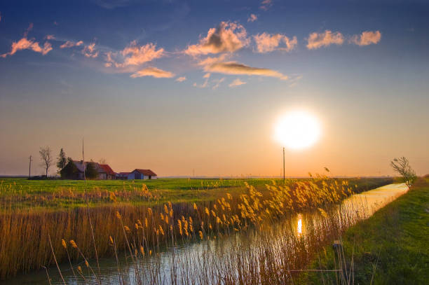 Farmhouse and agricultural fields during a sunny summer sunset.