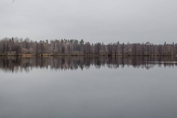 lake, water, forest, wood, russia, nature, morning, fog, background, light, season, landscape, tree, summer, reflection, park, sunlight, pond, wooded, beautiful, blue, sunrise, beauty, panorama, raifa, monastery