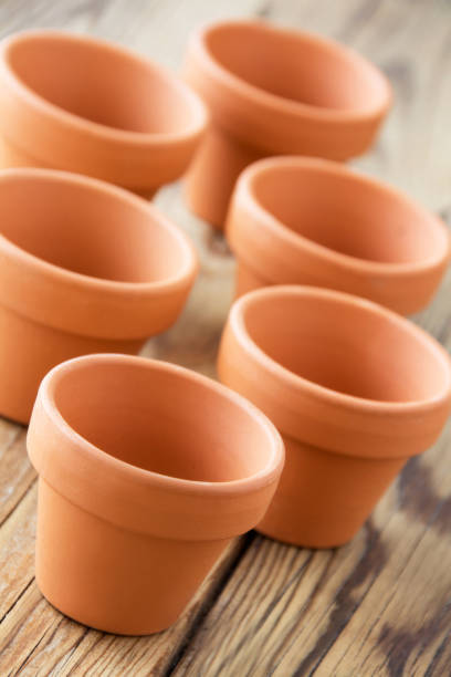 istock Gardening pots and wooden table 1091275994