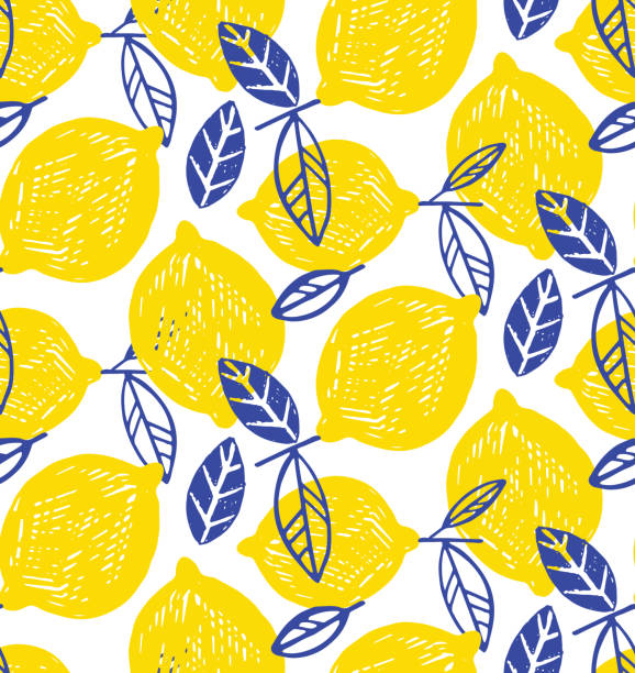 Citrus lemon lime doodle pattern background Citrus pattern fruit designs stock illustrations