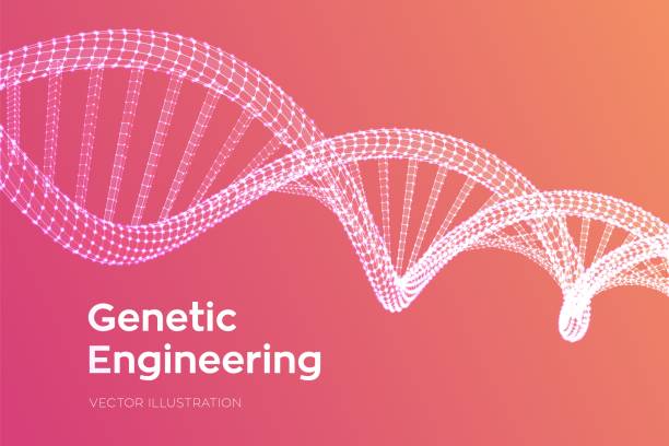 последовательность днк. сетка структуры молекул днк wireframe. днк-код редактируемый шаблон. концепция науки и техники. векторная иллюстрация. - thymine stock illustrations